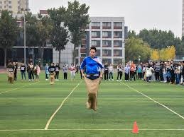制模板案例